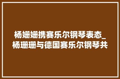 杨姗姗携赛乐尔钢琴表态_杨珊珊与德国赛乐尔钢琴共谱音乐华章上海多钢琴音乐盛典