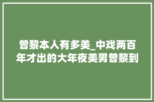 曾黎本人有多美_中戏两百年才出的大年夜美男曾黎到底有多美