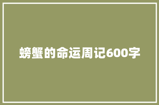 公函模板7种_公函参考模版7大年夜类25套