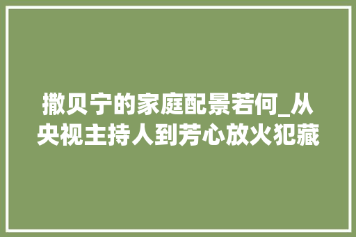 撒贝宁的家庭配景若何_从央视主持人到芳心放火犯藏13年的撒贝宁露出真面孔