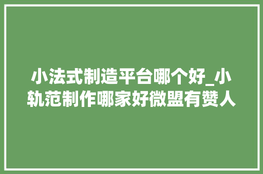 小法式制造平台哪个好_小轨范制作哪家好微盟有赞人人秀三大年夜小轨范制作平台测评 学术范文