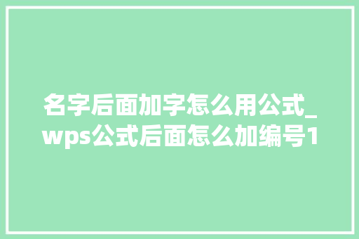 名字后面加字怎么用公式_wps公式后面怎么加编号11