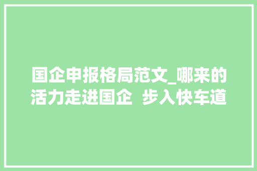 国企申报格局范文_哪来的活力走进国企  步入快车道 当好自贸港培植主力军海南国企成长调研申报