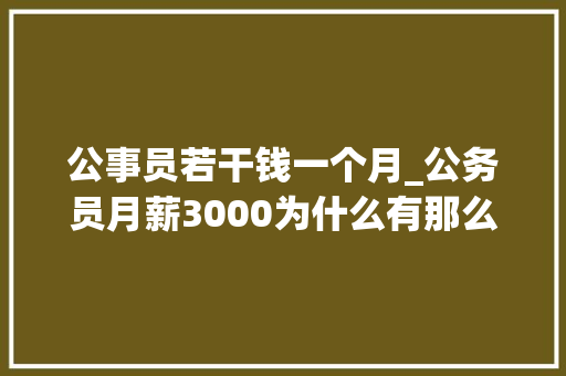 公事员若干钱一个月_公务员月薪3000为什么有那么多人去考考上的不愿意告退 演讲稿范文