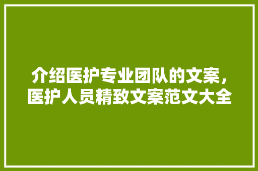 写计划的格局范文示例_筹划应该怎么写