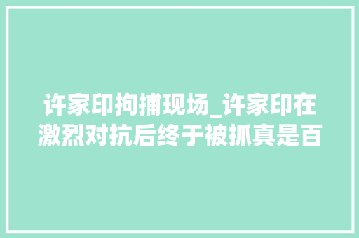 许家印拘捕现场_许家印在激烈对抗后终于被抓真是百年未有之大年夜变局​