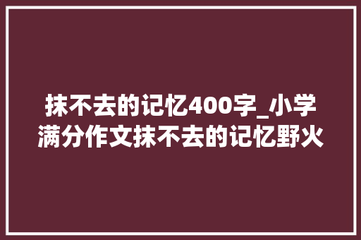 抹不去的记忆400字_小学满分作文抹不去的记忆野火做菜欢乐开怀