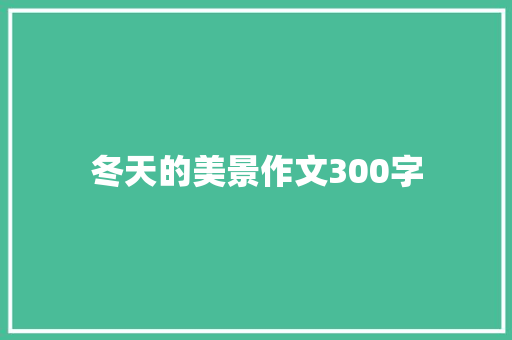 冬天的美景作文300字