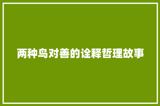 两种鸟对善的诠释哲理故事