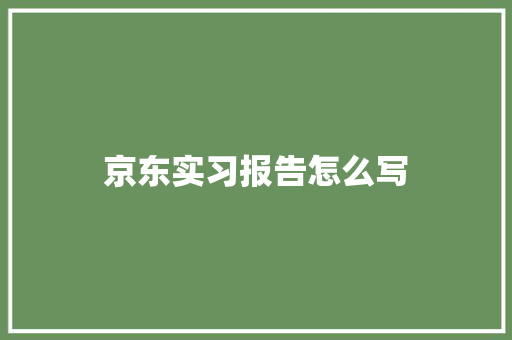 京东实习报告怎么写