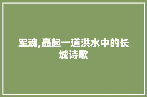 军魂,矗起一道洪水中的长城诗歌