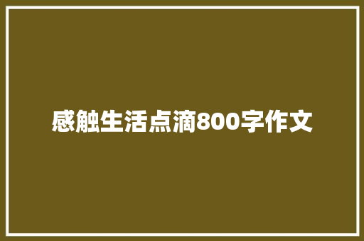 感触生活点滴800字作文