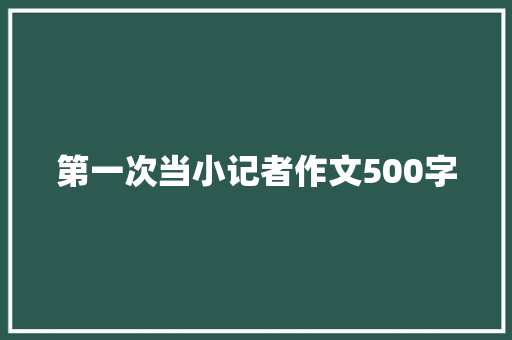 第一次当小记者作文500字