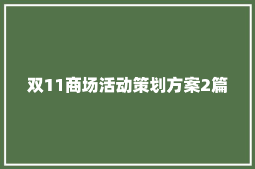 双11商场活动策划方案2篇