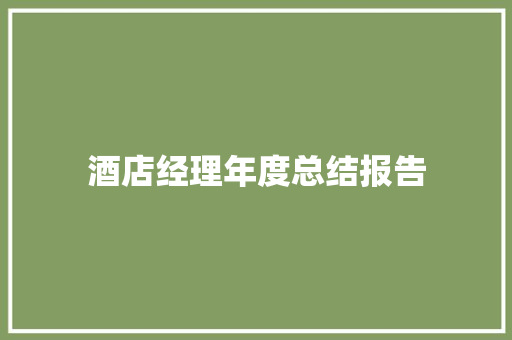 酒店经理年度总结报告