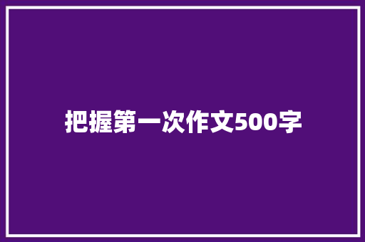 把握第一次作文500字