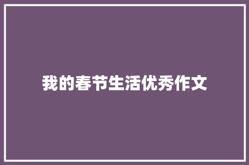 我的春节生活优秀作文