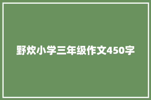 野炊小学三年级作文450字