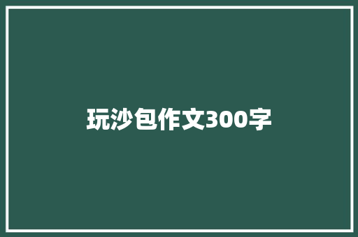 玩沙包作文300字