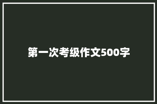 第一次考级作文500字