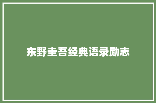 东野圭吾经典语录励志