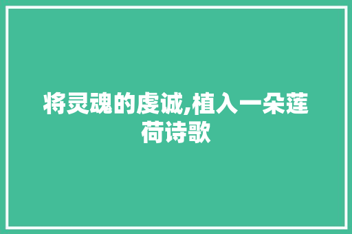 将灵魂的虔诚,植入一朵莲荷诗歌