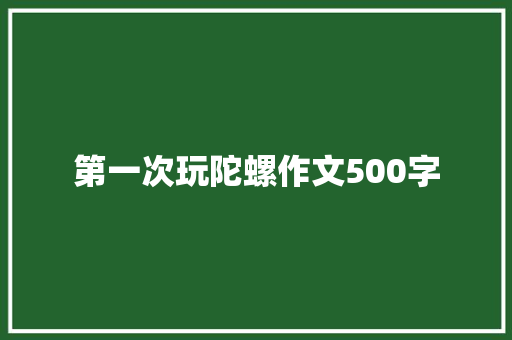 第一次玩陀螺作文500字