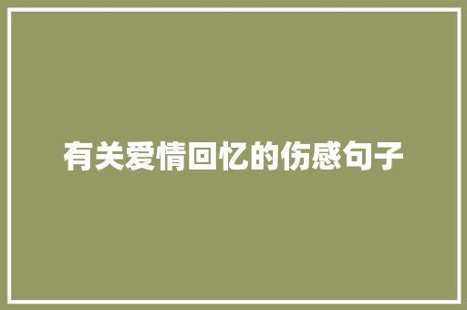 有关爱情回忆的伤感句子