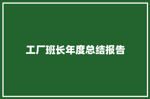 工厂班长年度总结报告