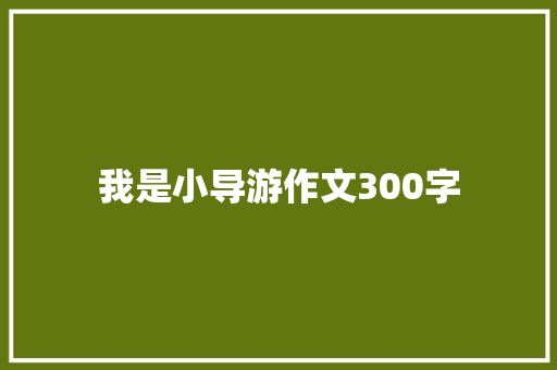 我是小导游作文300字