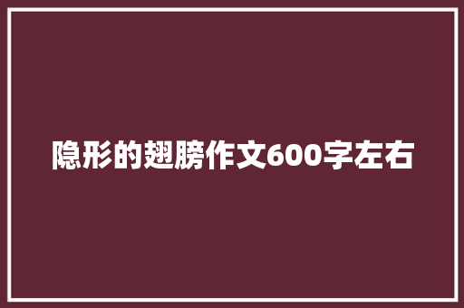 隐形的翅膀作文600字左右