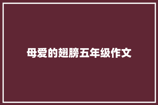 母爱的翅膀五年级作文 论文范文