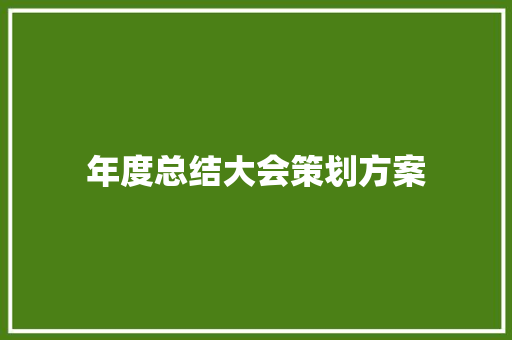 年度总结大会策划方案 综述范文