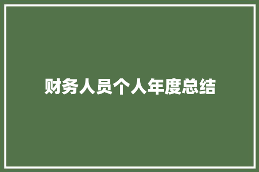 财务人员个人年度总结