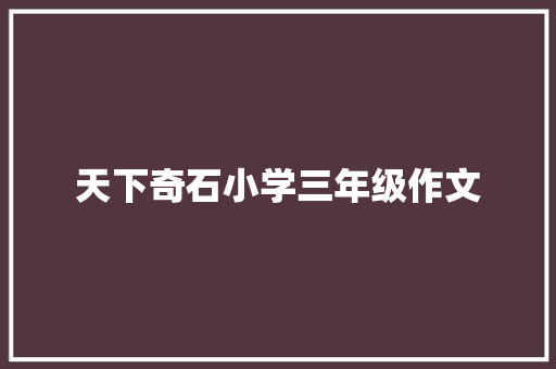 天下奇石小学三年级作文