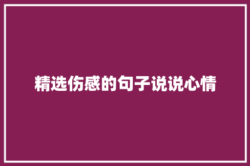 精选伤感的句子说说心情