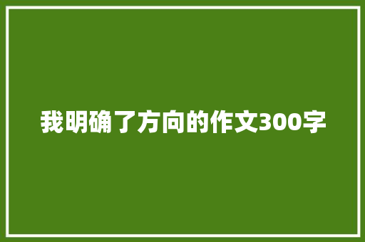 我明确了方向的作文300字