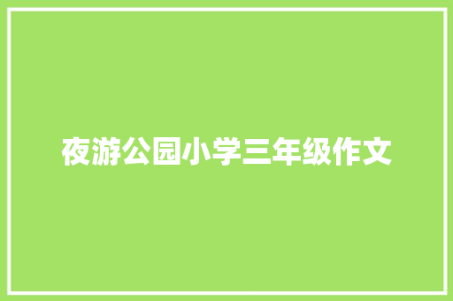 夜游公园小学三年级作文