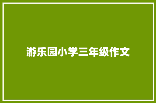 游乐园小学三年级作文