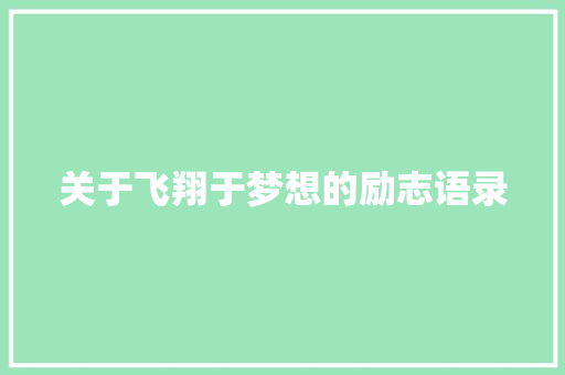 关于飞翔于梦想的励志语录