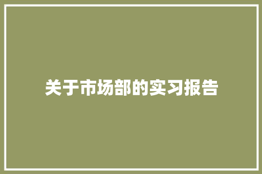 关于市场部的实习报告