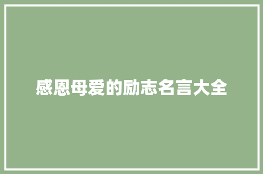 感恩母爱的励志名言大全