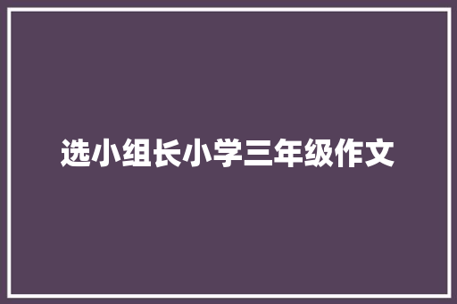 选小组长小学三年级作文