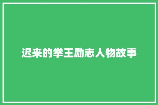 迟来的拳王励志人物故事