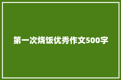 第一次烧饭优秀作文500字