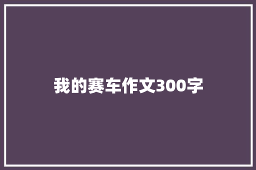 我的赛车作文300字