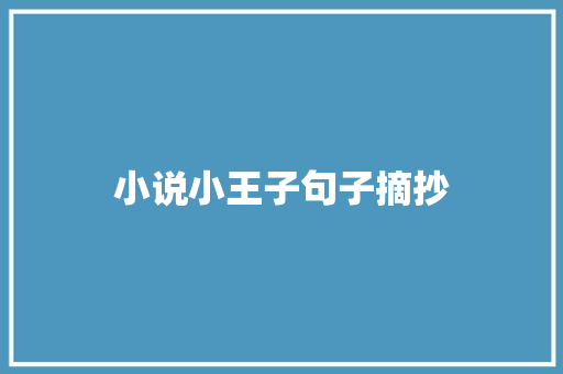 小说小王子句子摘抄