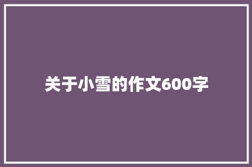 关于小雪的作文600字