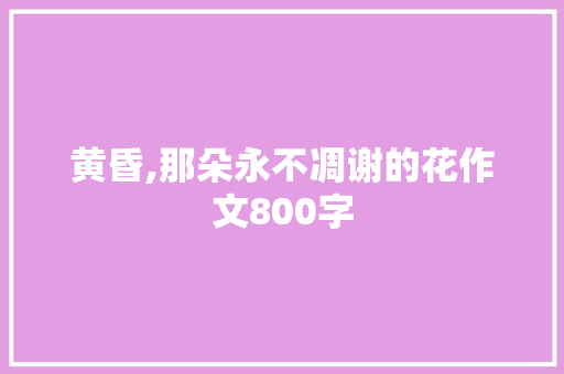 黄昏,那朵永不凋谢的花作文800字