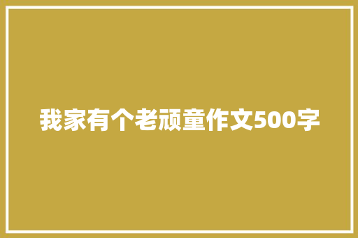 我家有个老顽童作文500字